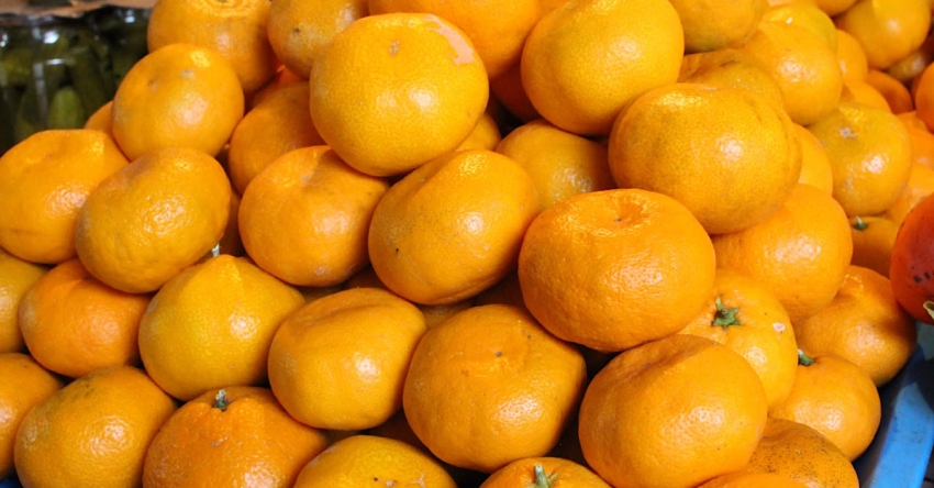 219 тонна амандарина Аԥснынтәи Урыстәылаҟа игоуп