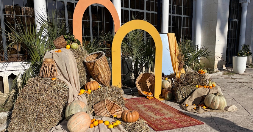 Афестиваль &laquo;Амандарин&raquo; иахәҭаку аџьармыкьа мҩаԥысит Гәыма