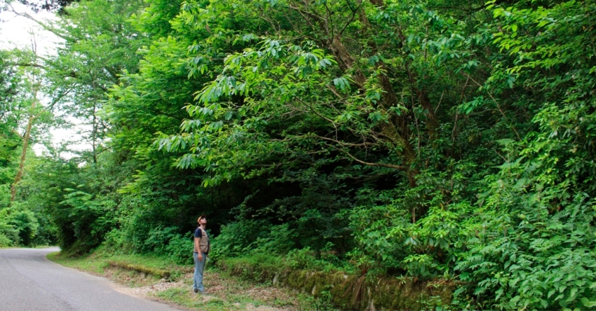 Аԥҟарақәа рҿыцуп