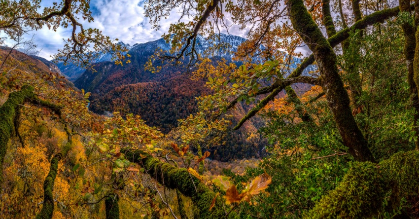 Аекологиа ахьчара