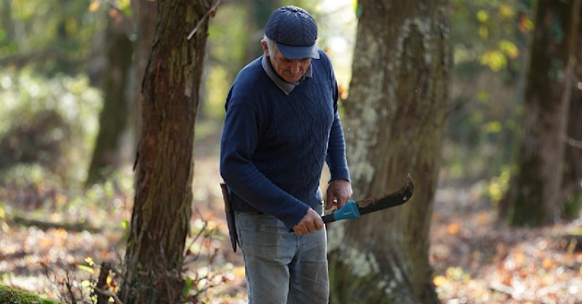 Абнақәа рбеиара еиқәзырхо