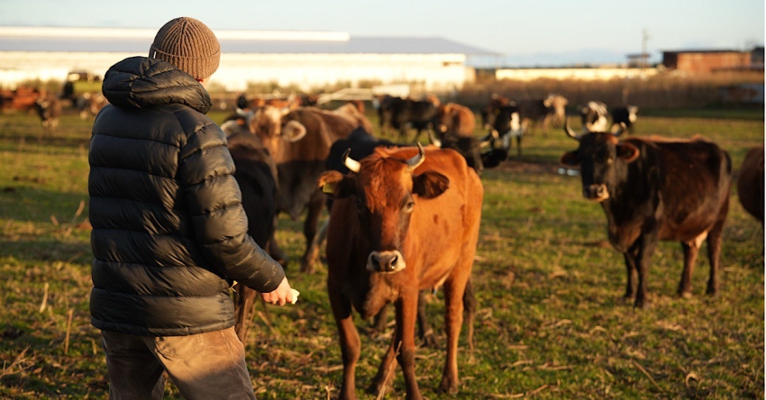 Абиԥарала еимырдо аус