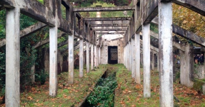 Аԥсыбаҩқәа ԥшаахаанӡа